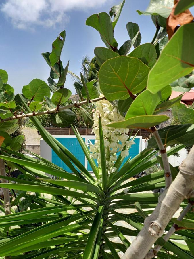 Tiko Lodge Sxm Quarter of Orleans 外观 照片